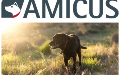 Amicus Newsletter