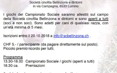 Campionato sociale (28.10.2018)