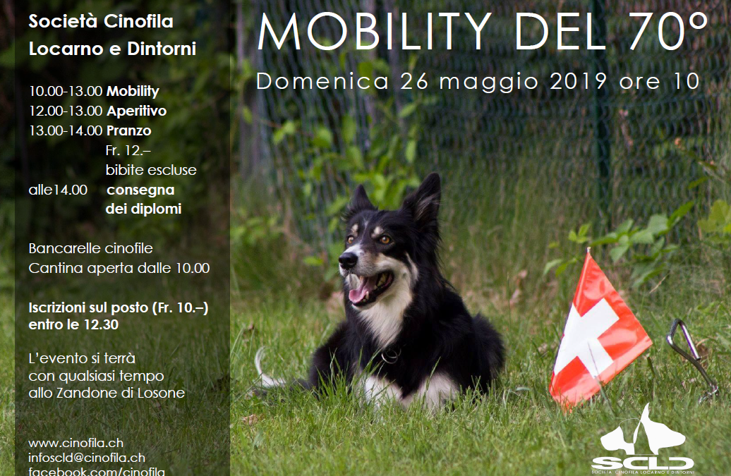 Mobility del 70°