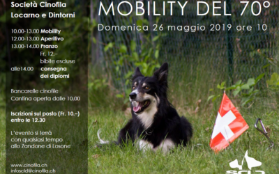 Mobility del 70°