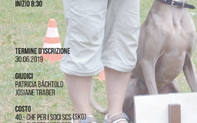 Gara di rally obedience (SCL Lugano)