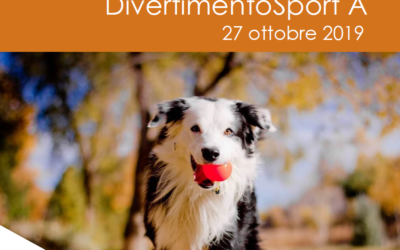 Concorso DivertimentoSport