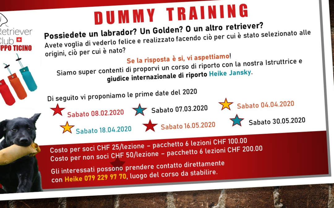 Dummy Training