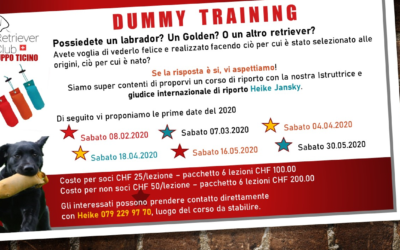 Dummy Training