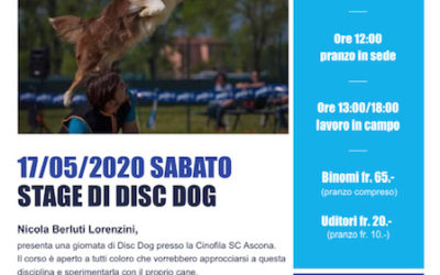 Stage di Disc Dog