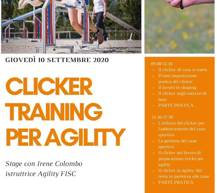 Clicker Training per Agility – 10 Settembre