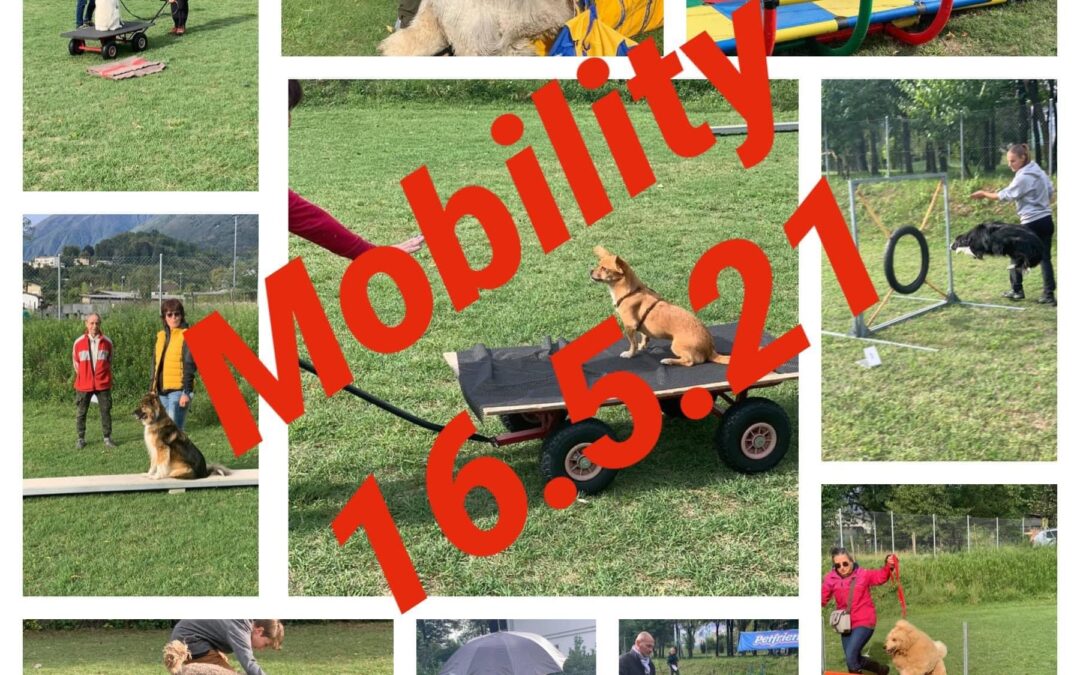 SC Ascona – Mobility Domenica 16.05.2021