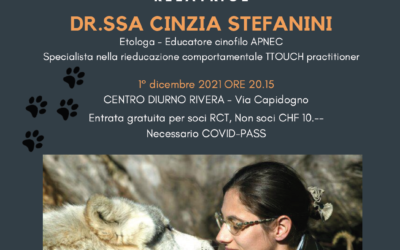 In nostro mondo visto dal cane – 1° dicembre 2021